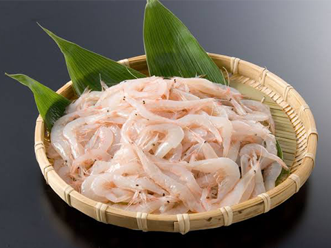 Toyama's Shiroebi (White Shrimp)
