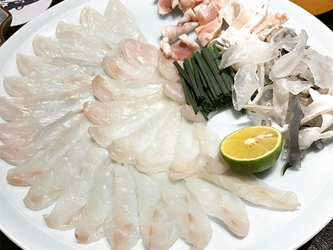 Fugu (Pufferfish)