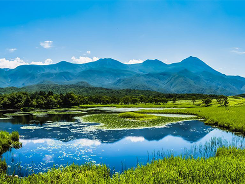 Shiretoko Peninsula — 知床半島