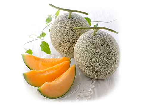 Yubari Melon