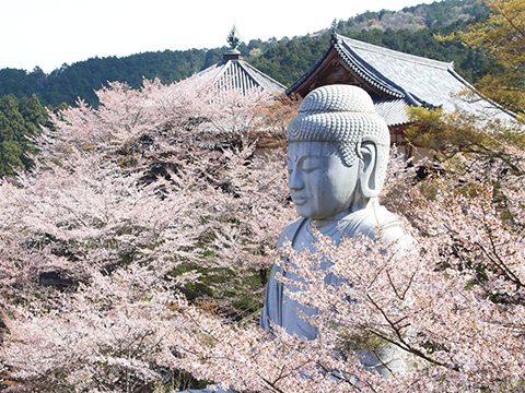 Kamakura's Great Buddha — 鎌倉大仏
