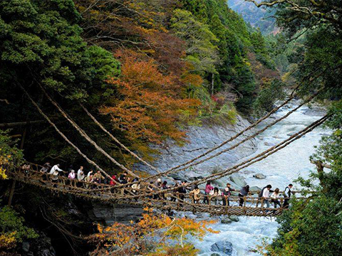 Iya Valley Vine Bridges — 祖谷のかずら橋