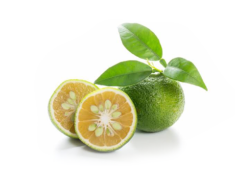Sudachi Citrus