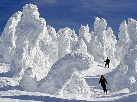 Zaō Onsen & Snow Monsters — 蔵王樹氷